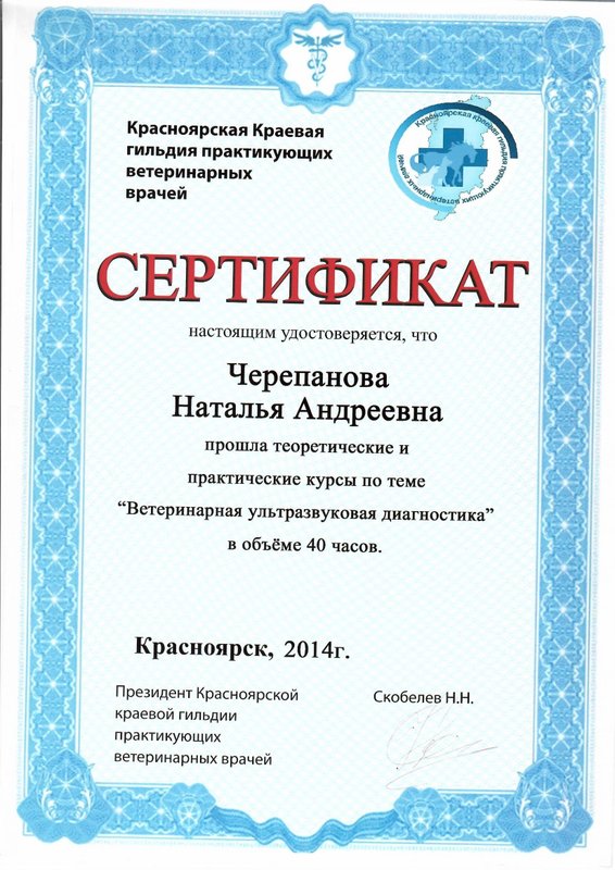 Документ или сертификат