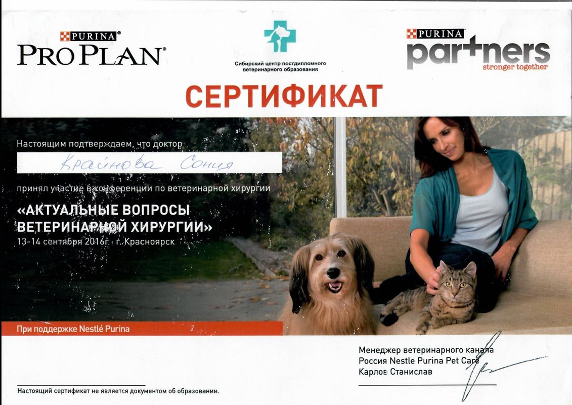 Документ или сертификат