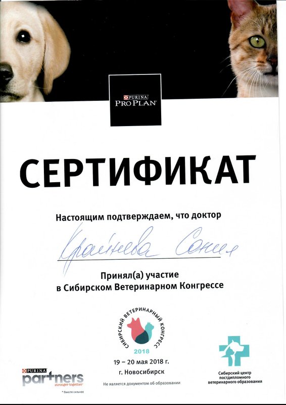 Документ или сертификат
