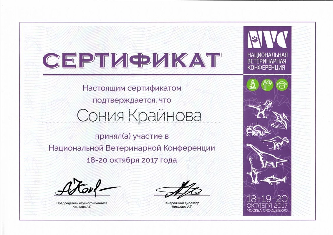 Документ или сертификат