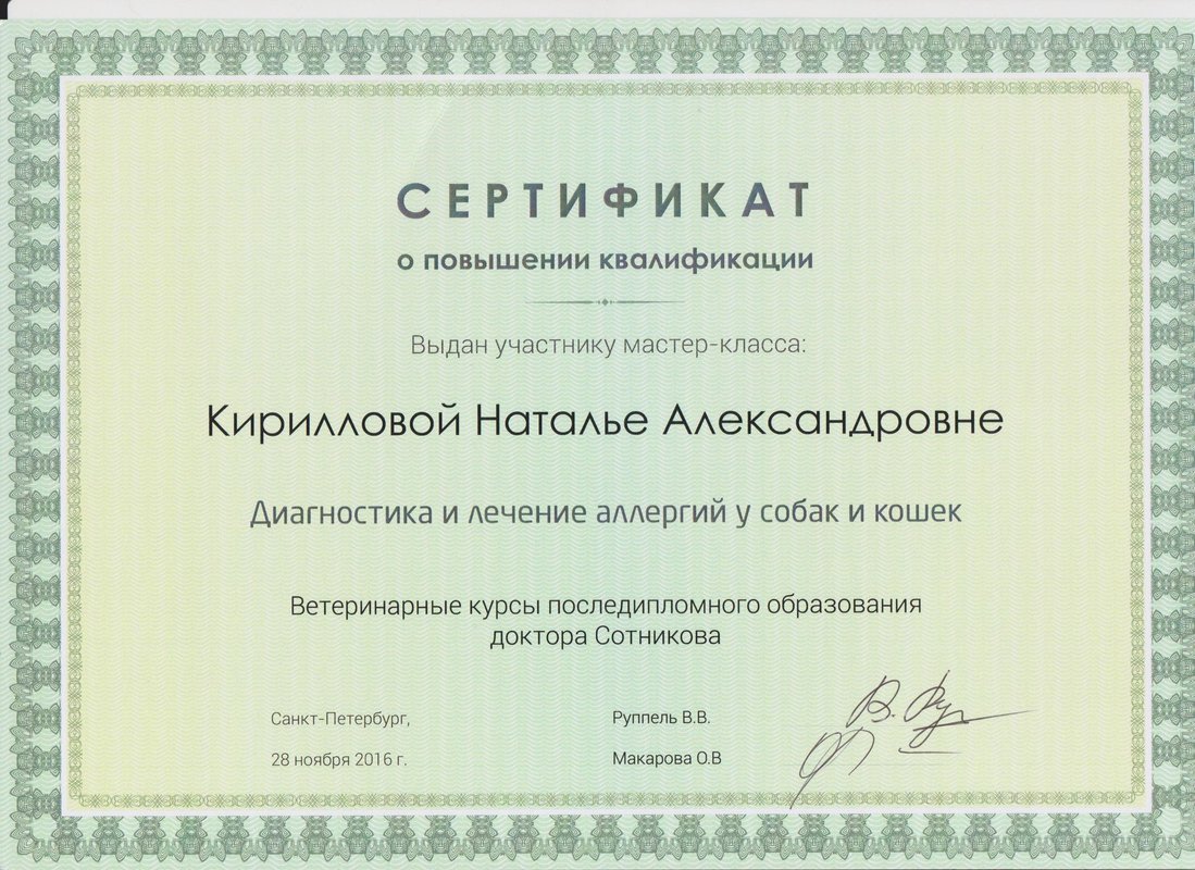 Документ или сертификат