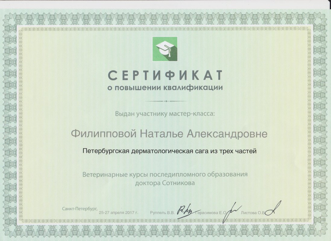 Документ или сертификат