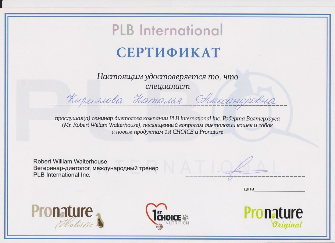 Документ или сертификат