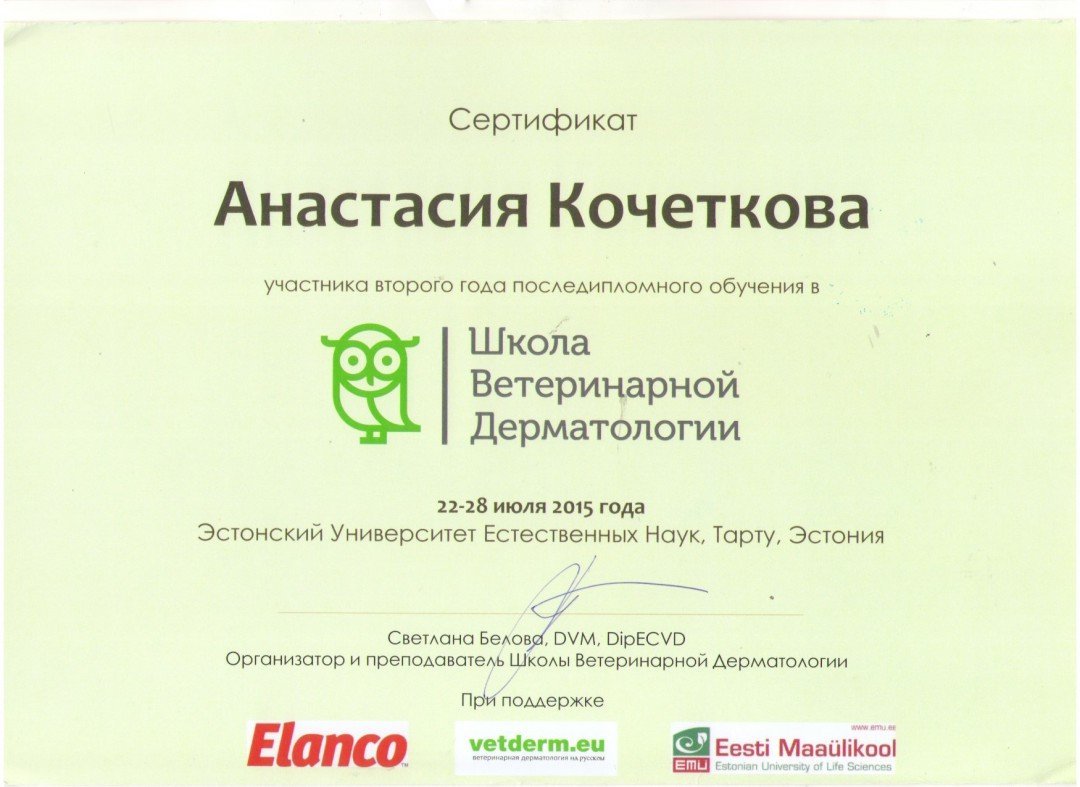 Документ или сертификат