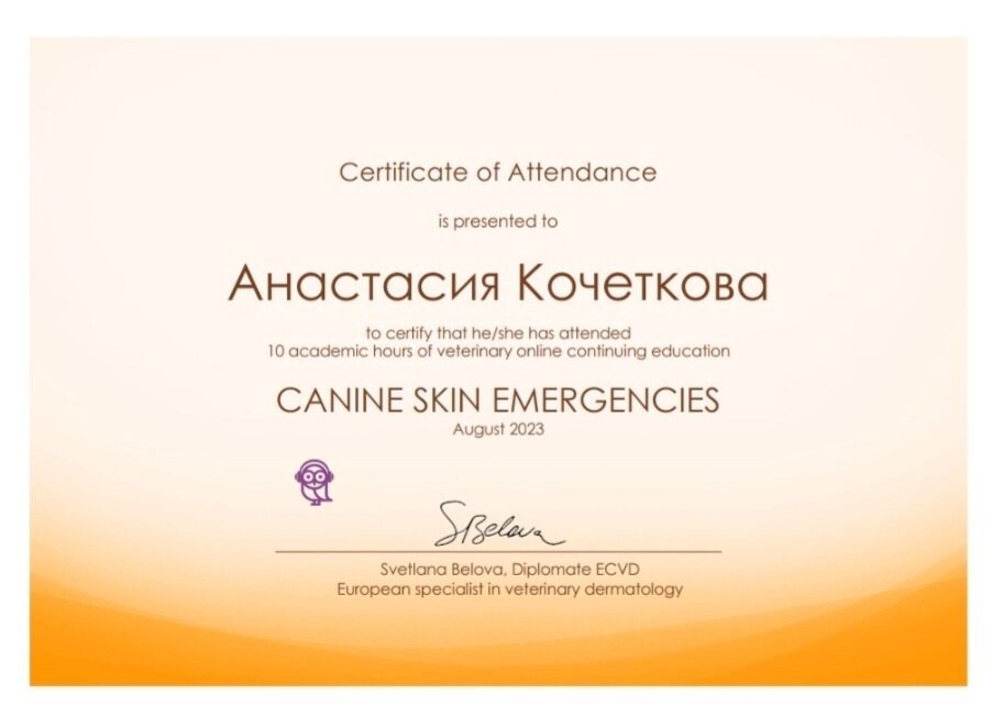Документ или сертификат