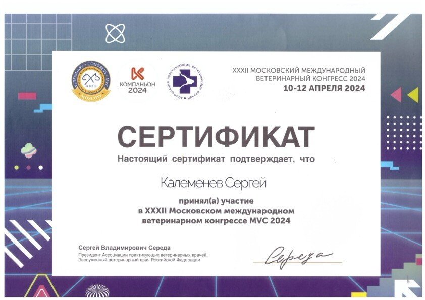 Документ или сертификат