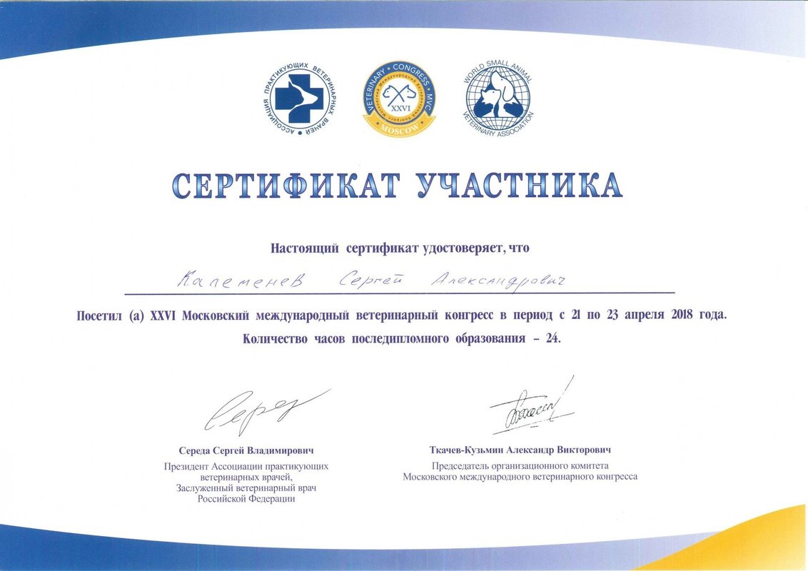 Документ или сертификат