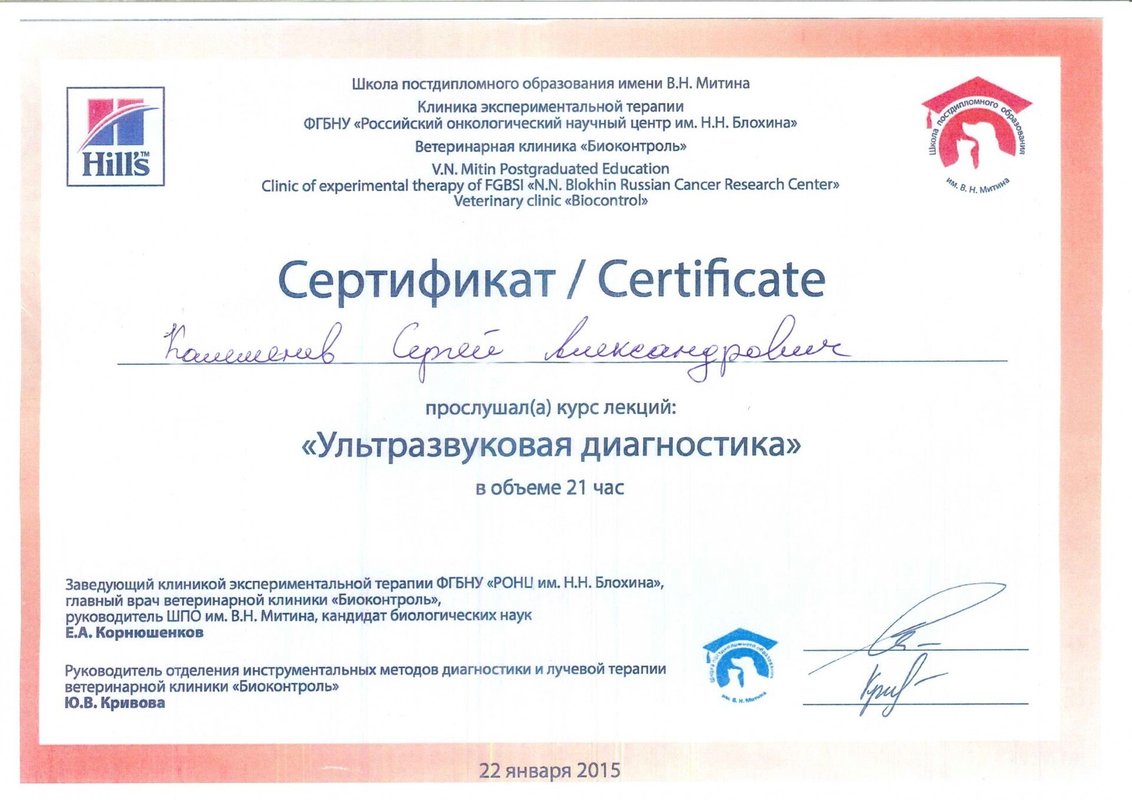 Документ или сертификат
