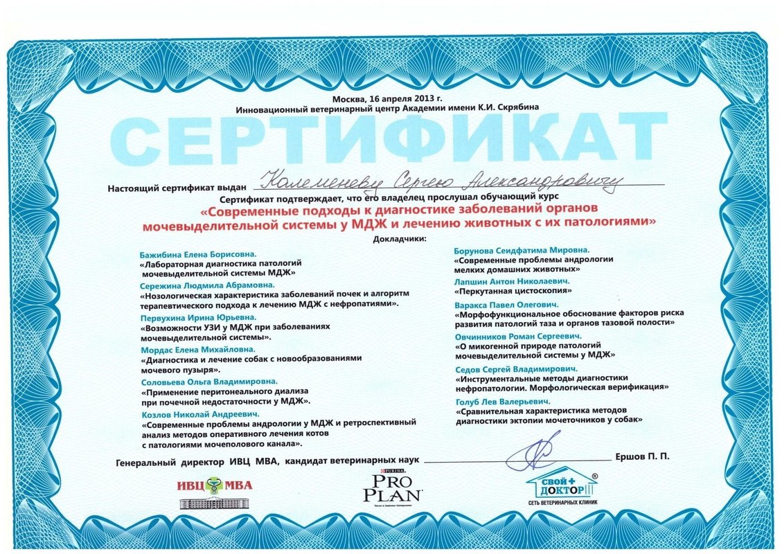 Документ или сертификат