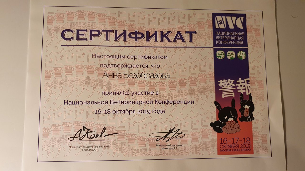 Документ или сертификат