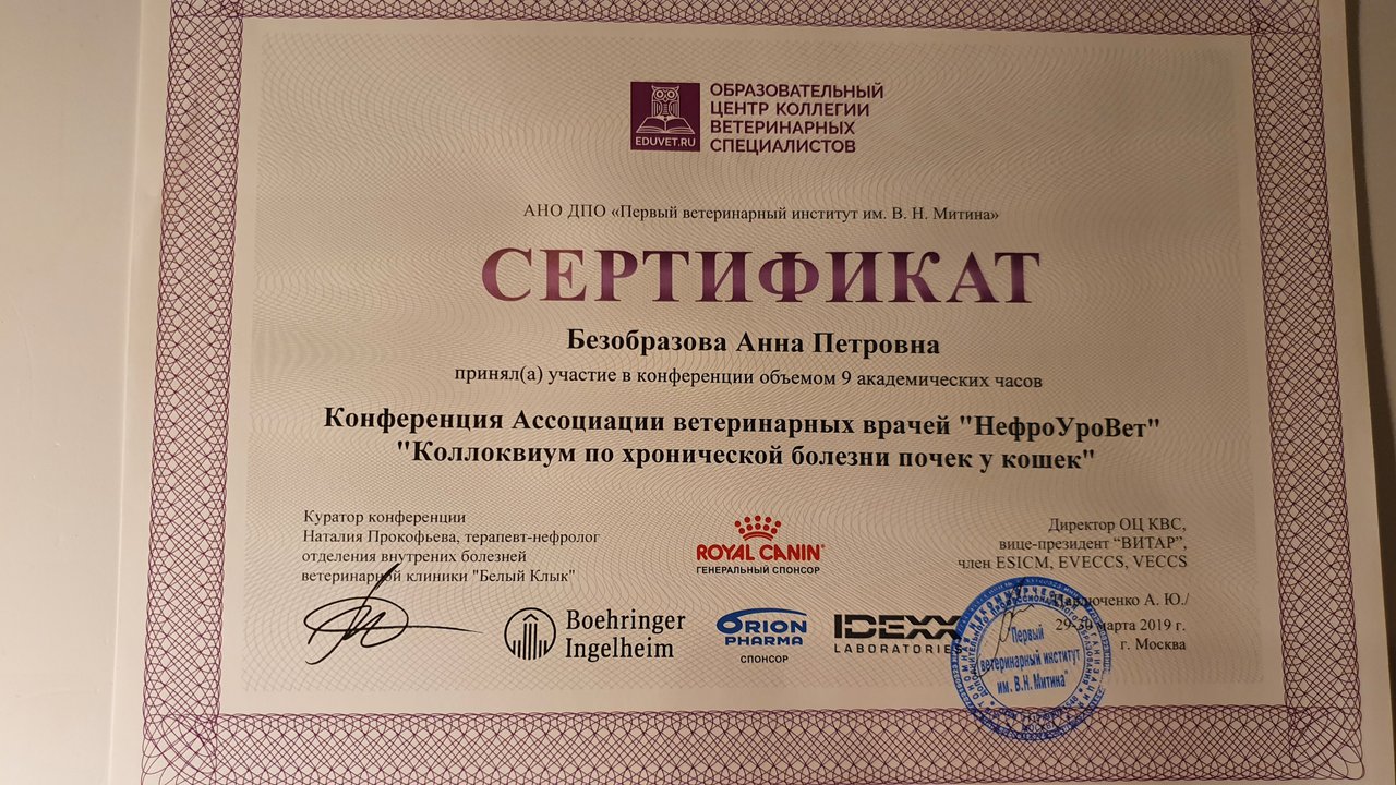 Документ или сертификат