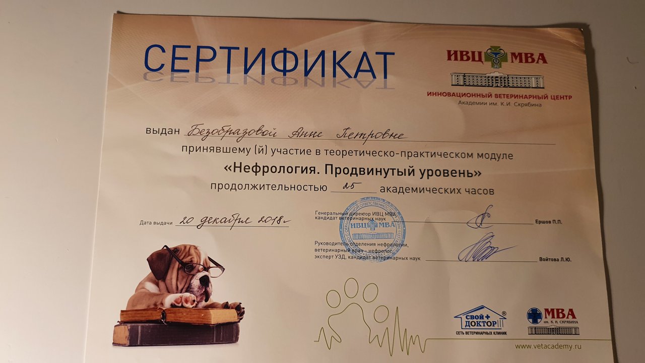Документ или сертификат