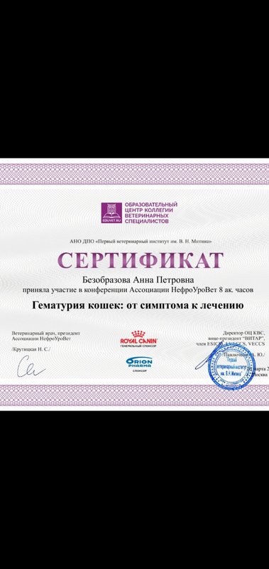 Документ или сертификат