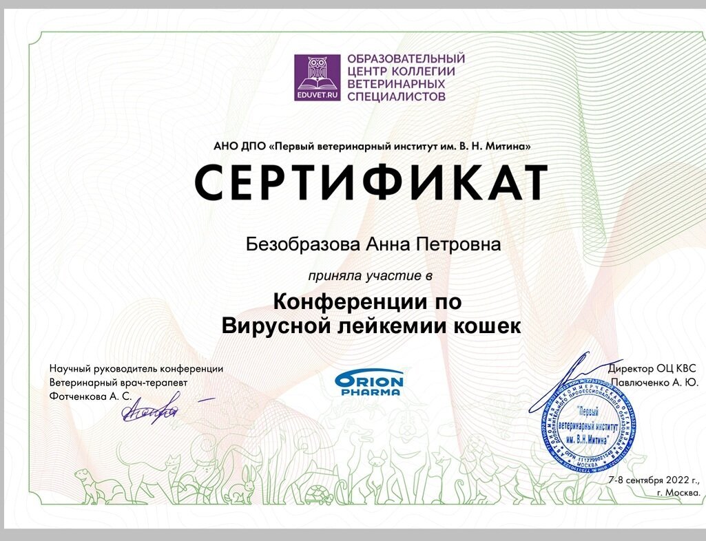 Документ или сертификат