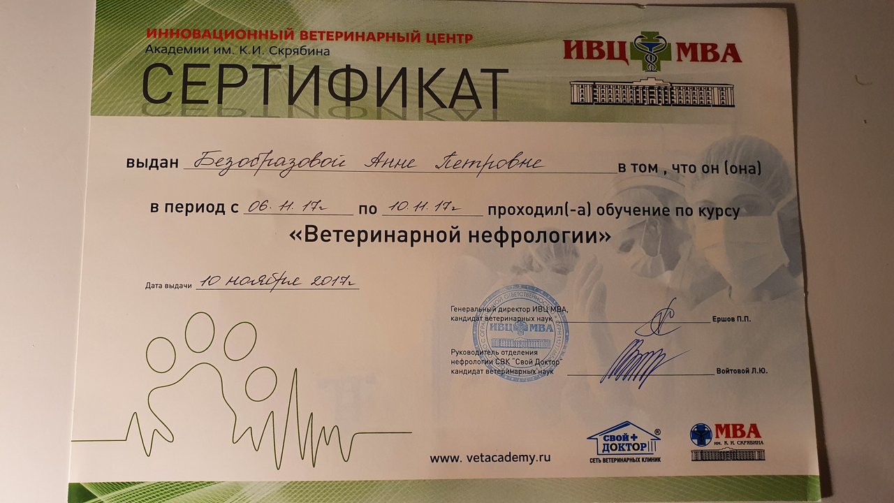 Документ или сертификат