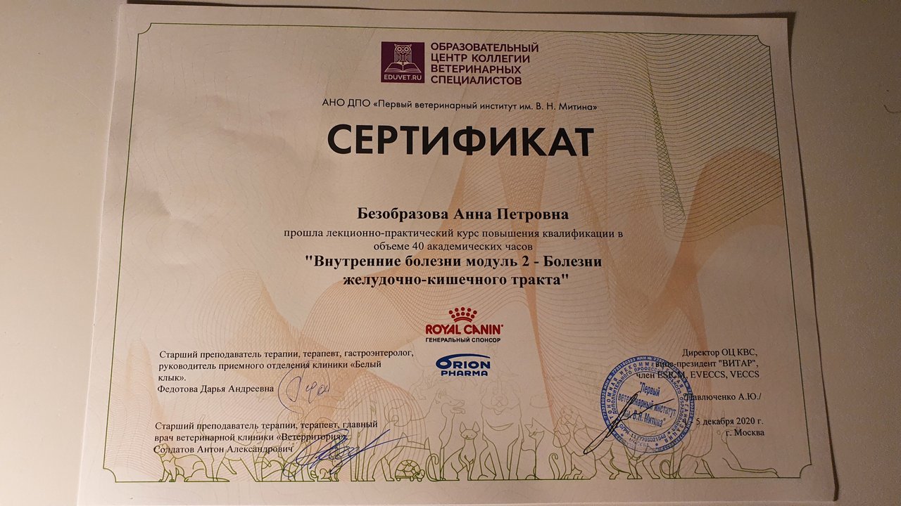 Документ или сертификат