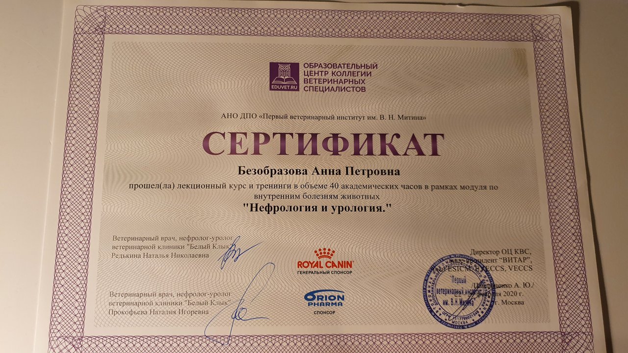 Документ или сертификат