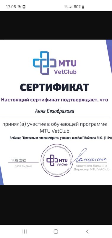 Документ или сертификат