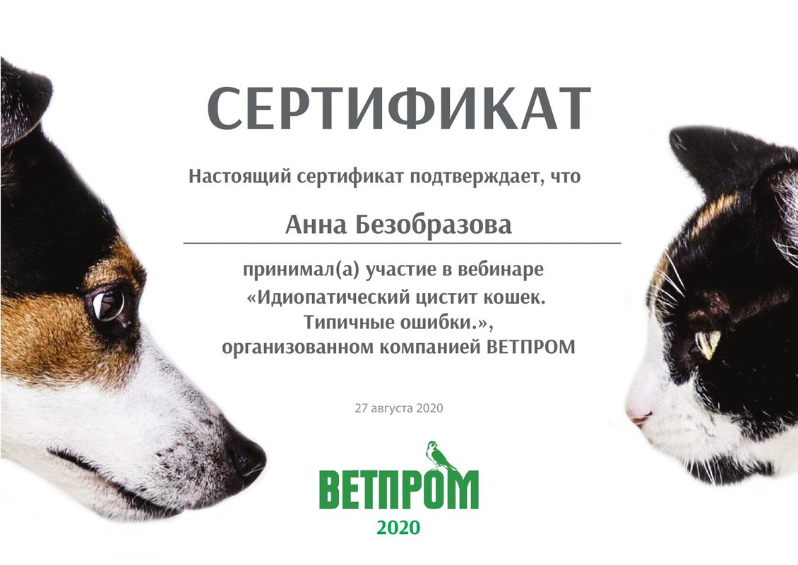 Документ или сертификат