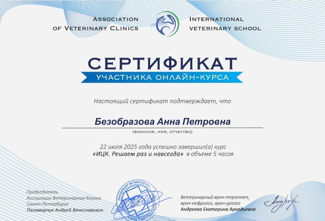 Документ или сертификат