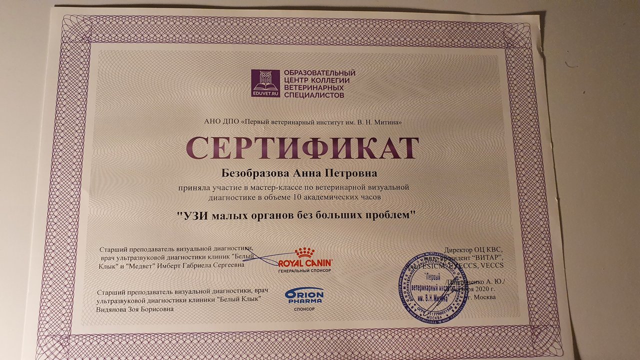 Документ или сертификат
