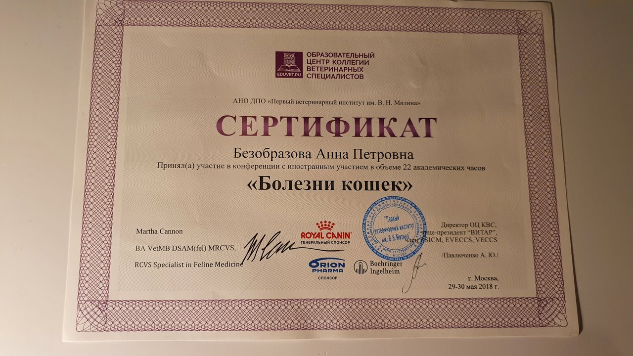 Документ или сертификат