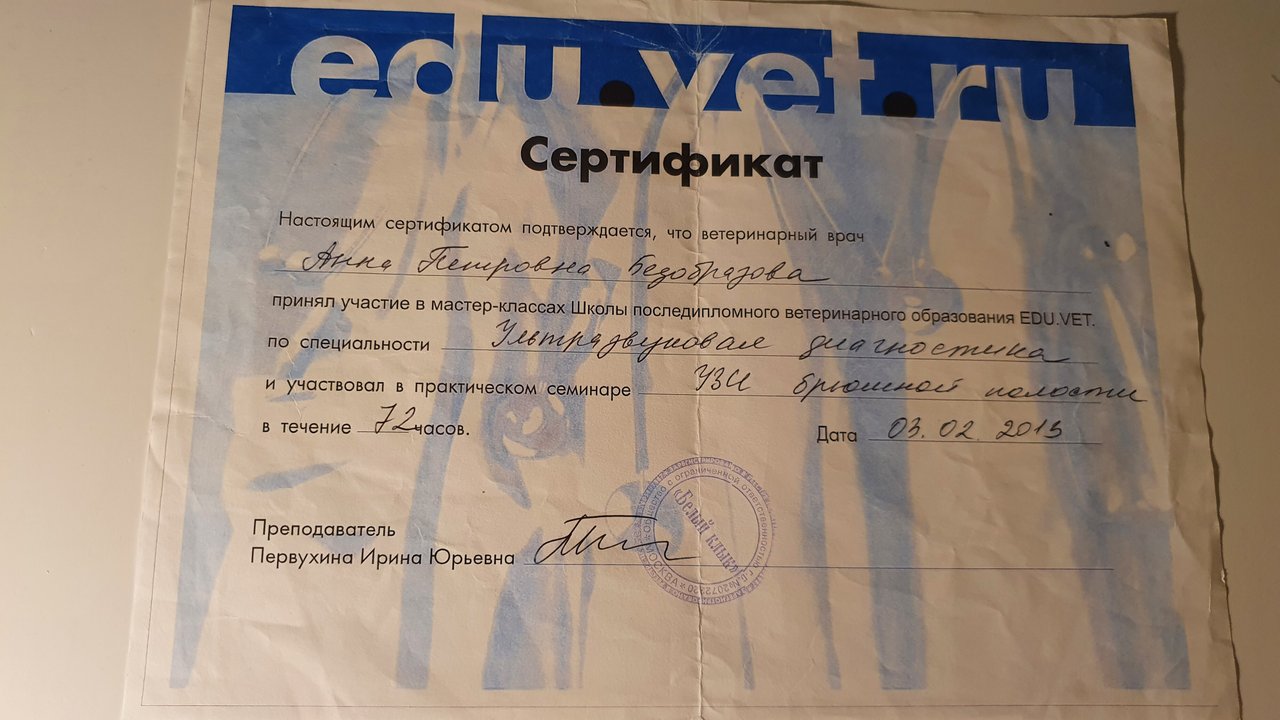 Документ или сертификат