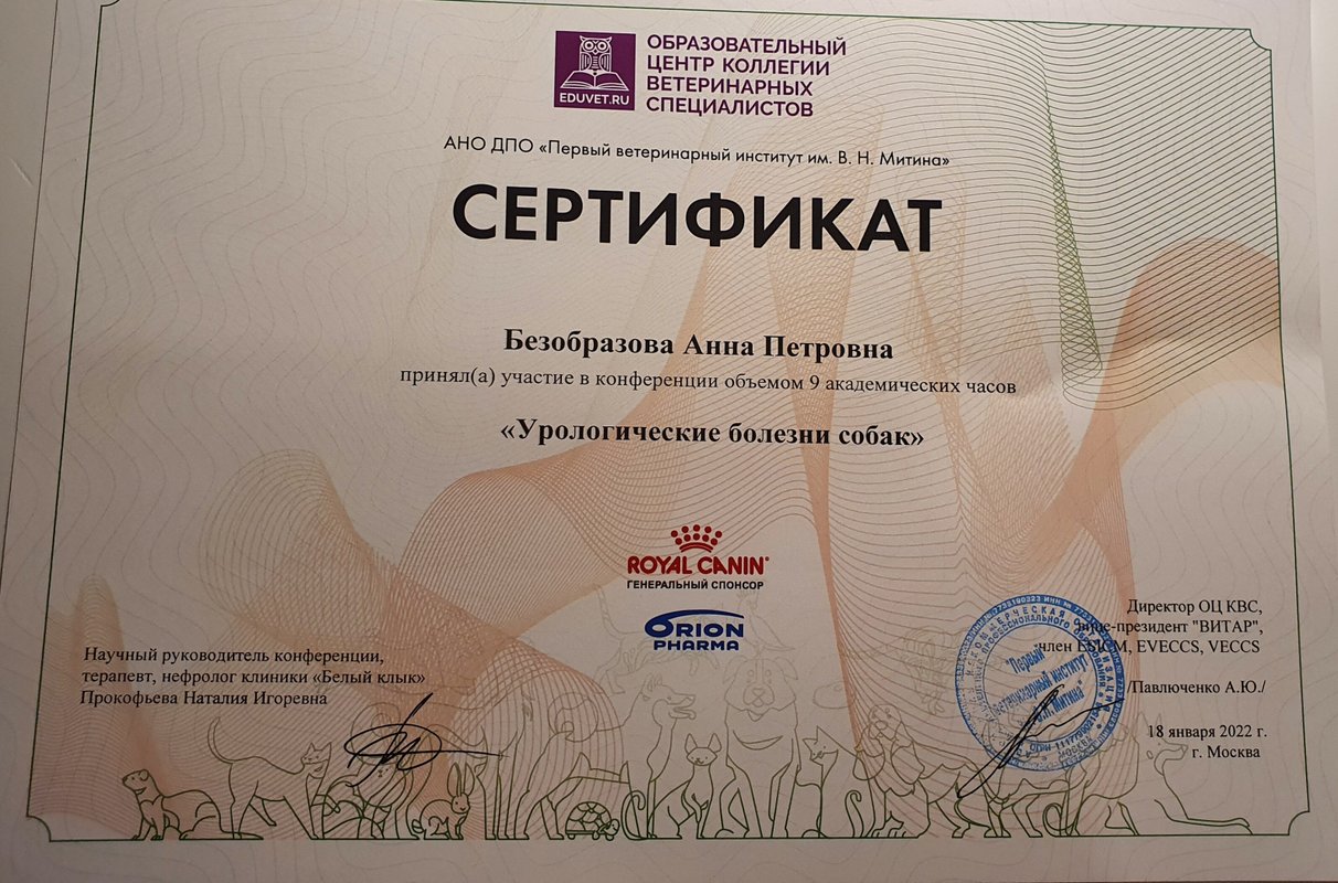 Документ или сертификат
