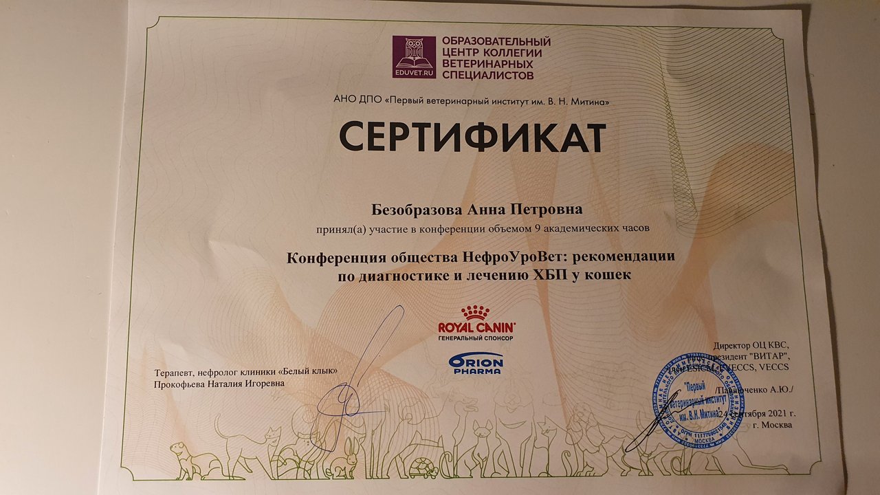 Документ или сертификат