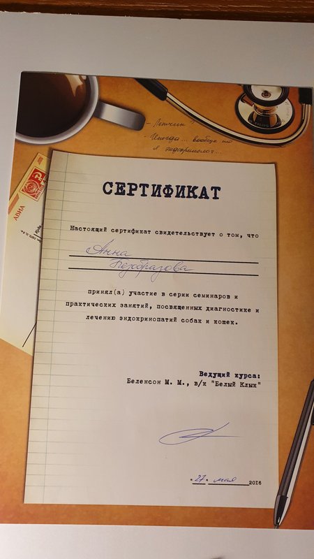 Документ или сертификат