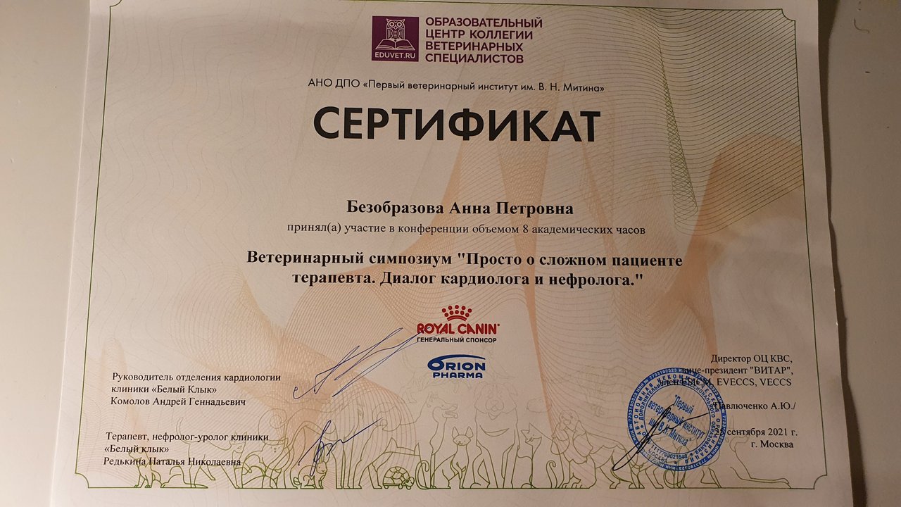 Документ или сертификат