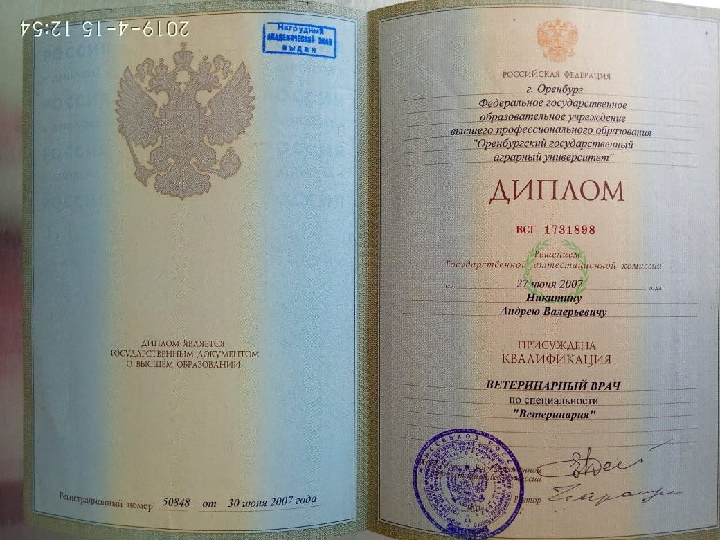 Документ или сертификат