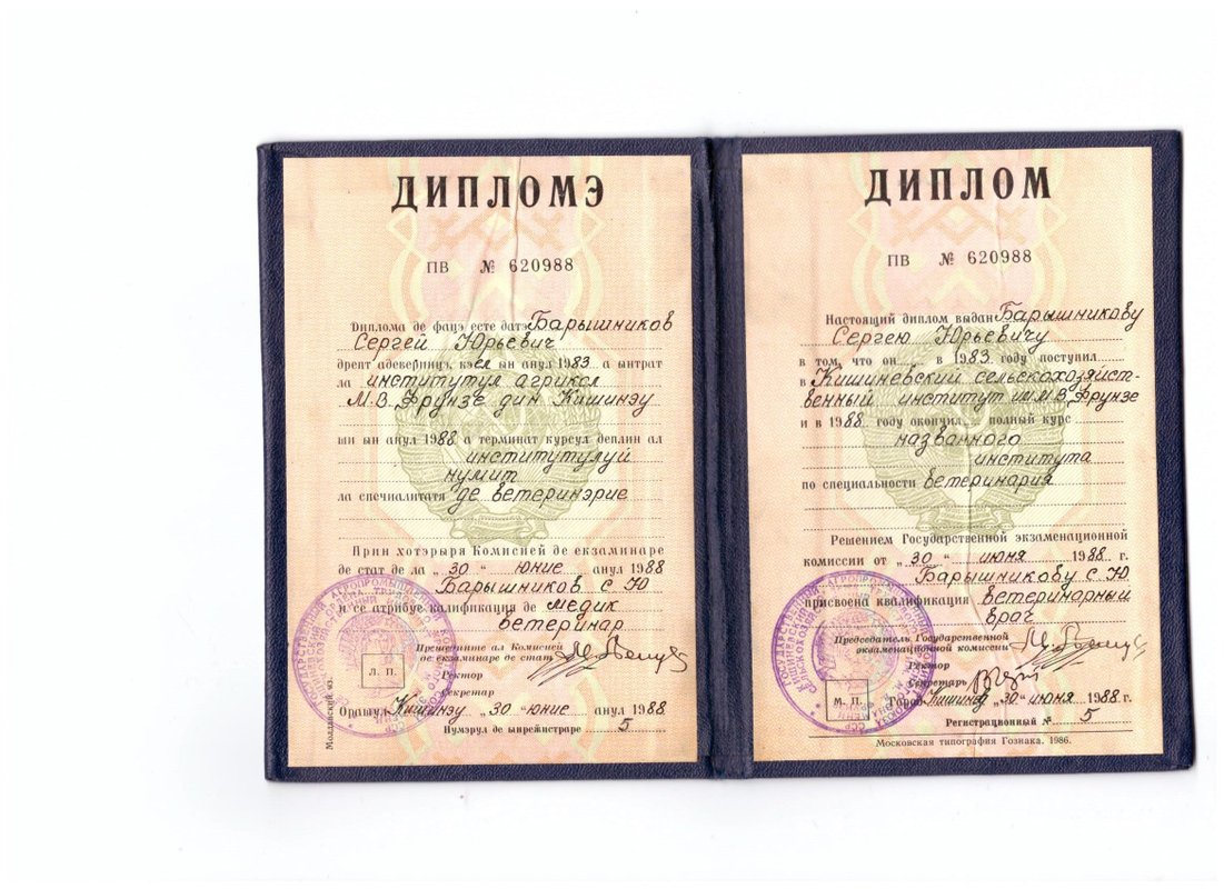Документ или сертификат