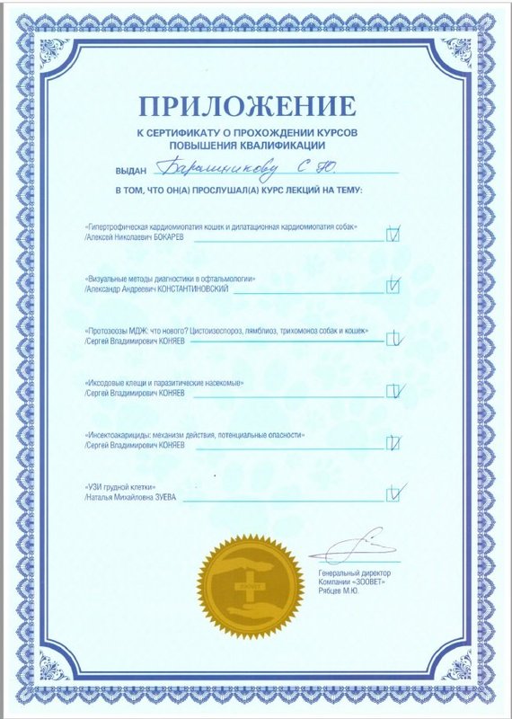 Документ или сертификат