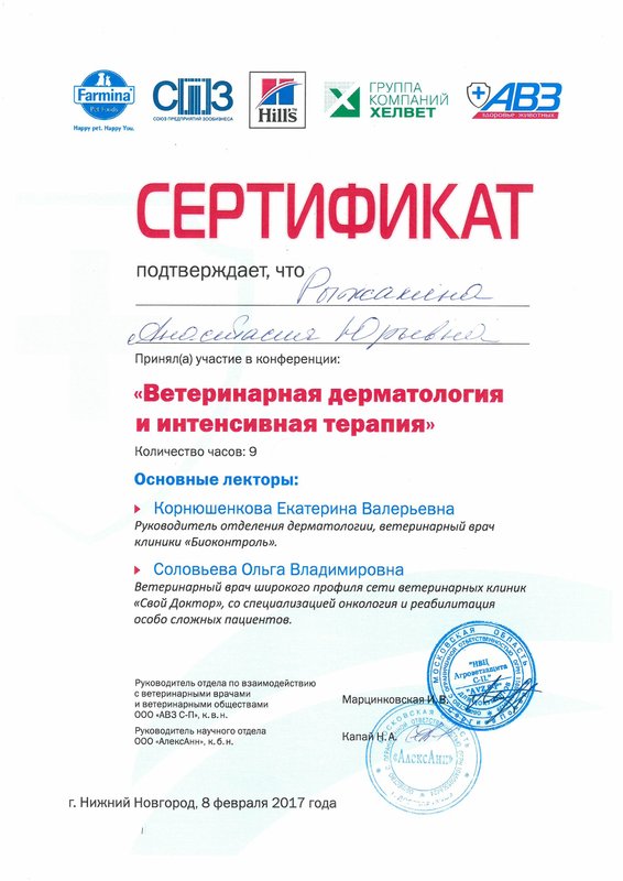 Документ или сертификат