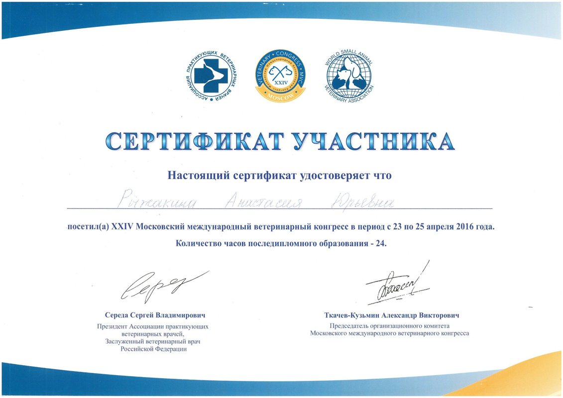 Документ или сертификат