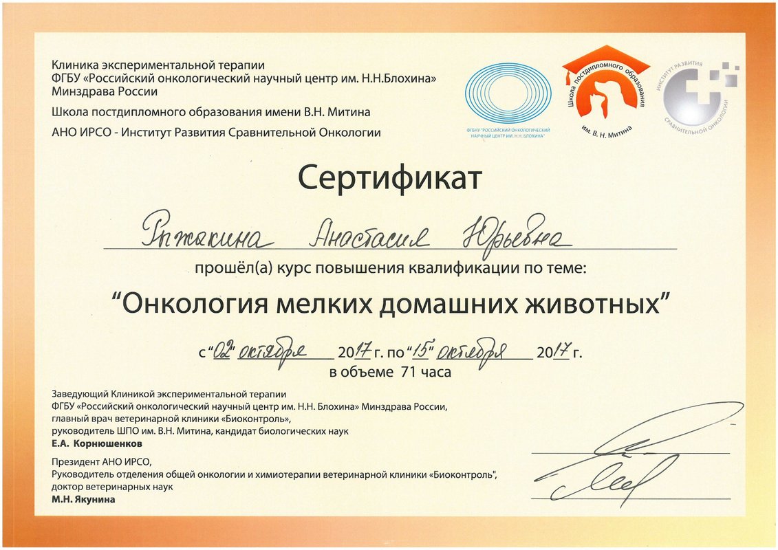 Документ или сертификат