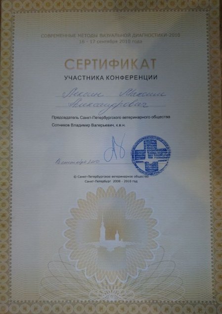 Документ или сертификат
