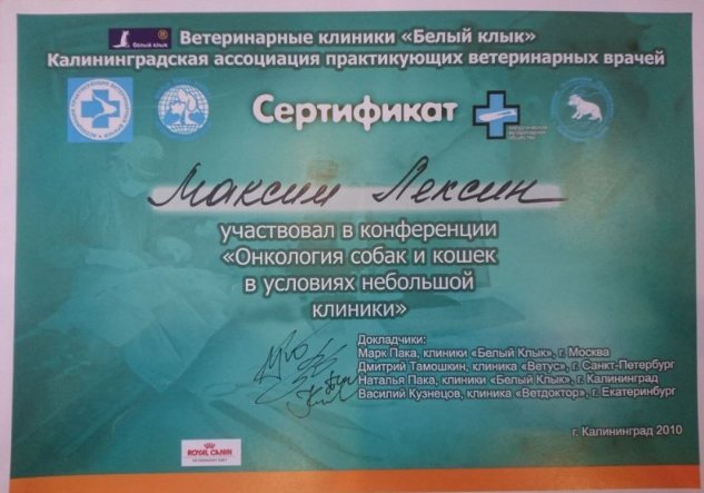 Документ или сертификат