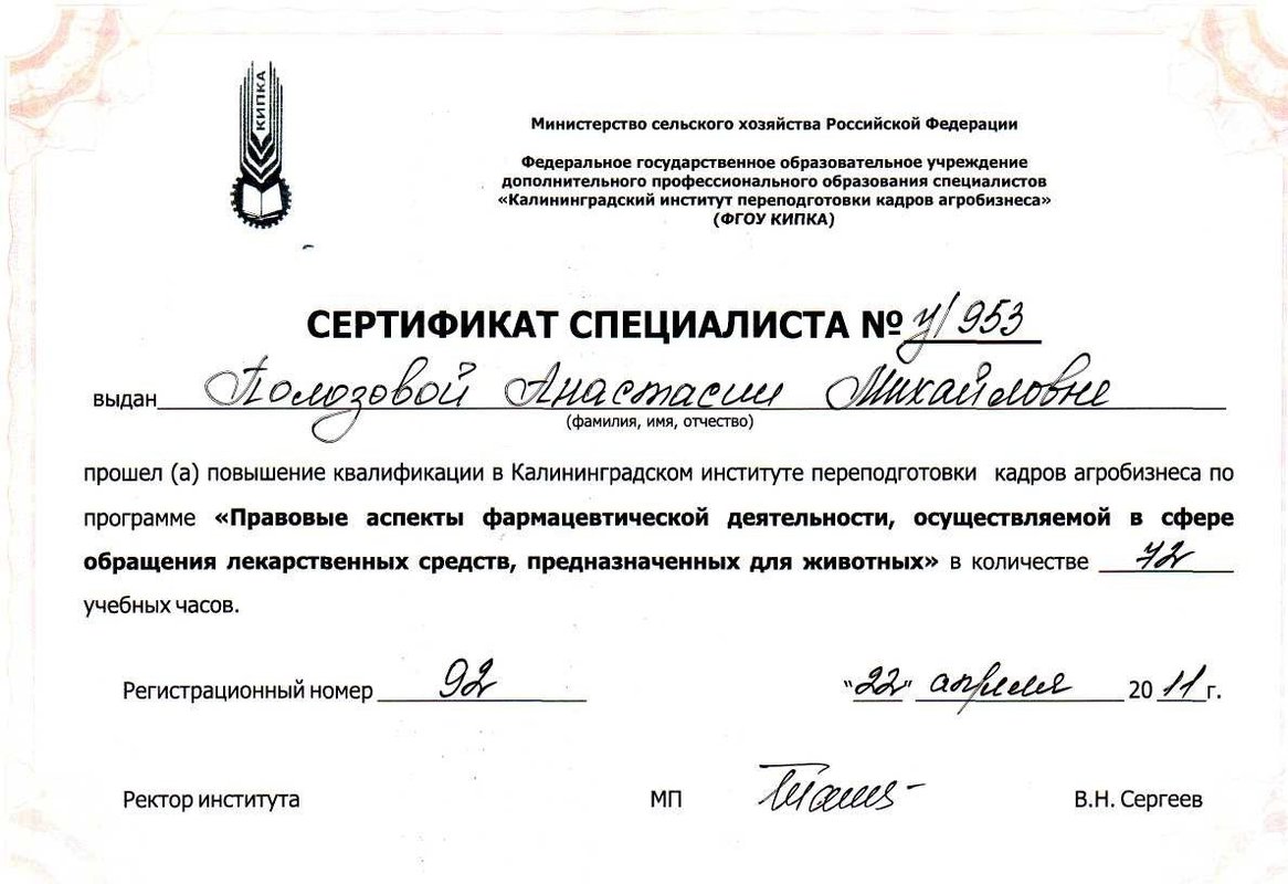 Документ или сертификат