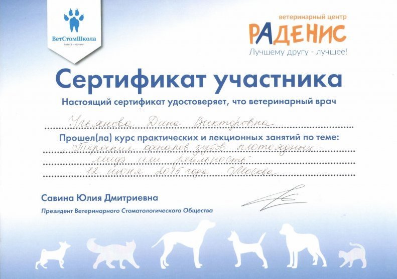 Документ или сертификат