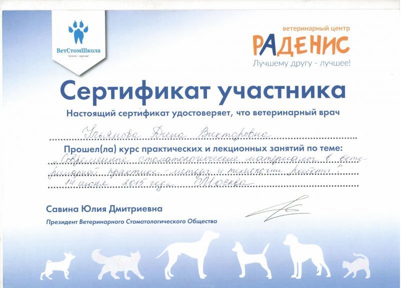 Документ или сертификат