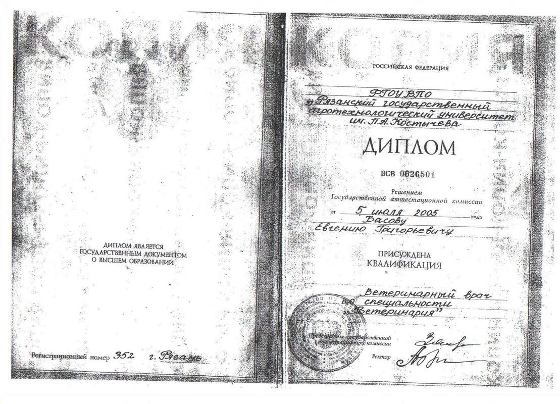 Документ или сертификат
