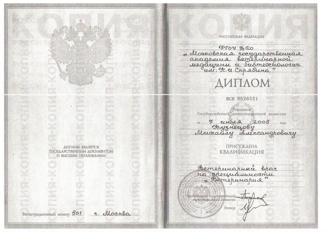 Документ или сертификат