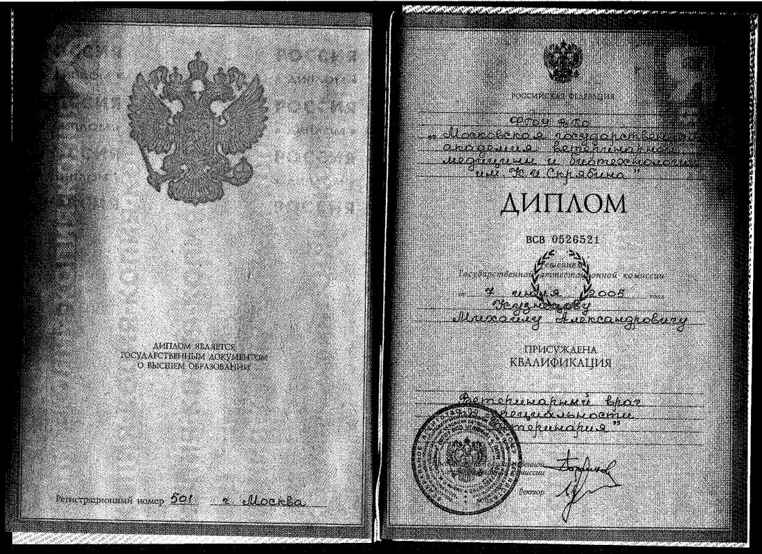 Документ или сертификат