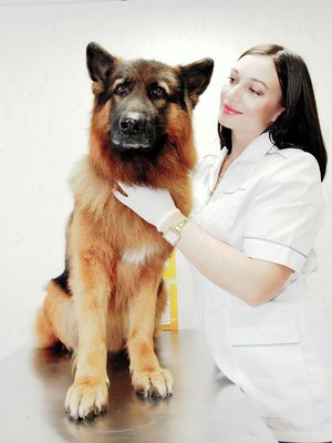 Фото врача Богачук Ксения Дмитриевна