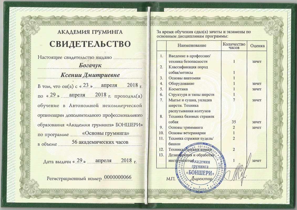 Документ или сертификат