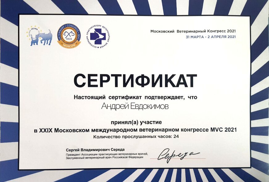 Документ или сертификат