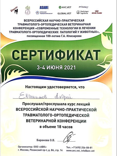 Документ или сертификат