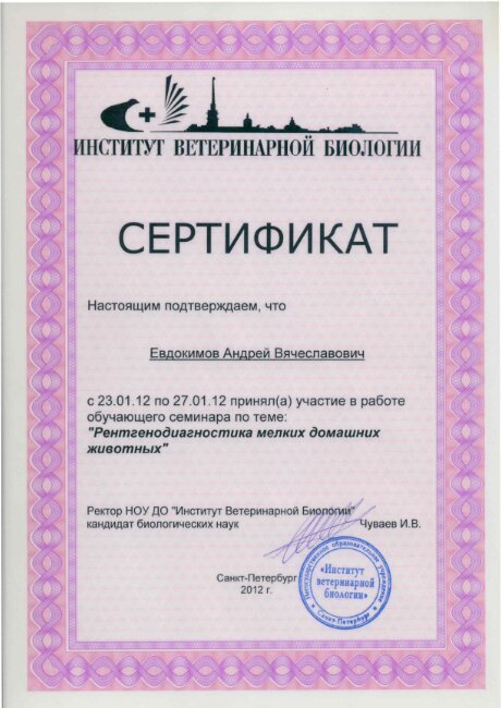 Документ или сертификат